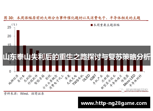 山东泰山失利后的重生之路探讨与复苏策略分析
