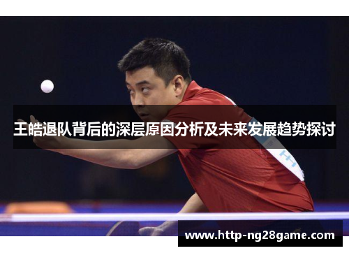王皓退队背后的深层原因分析及未来发展趋势探讨