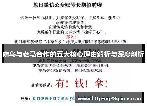 魔鸟与老马合作的五大核心理由解析与深度剖析